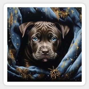 Cute Pitty Sticker